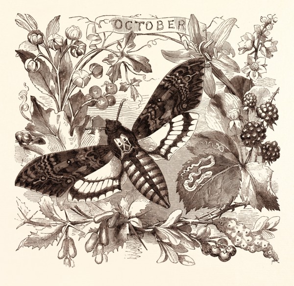 OCTOBER, calendar, year, month, monthly