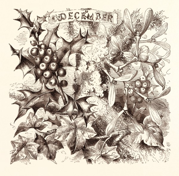 DECEMBER, calendar, year, month, monthly