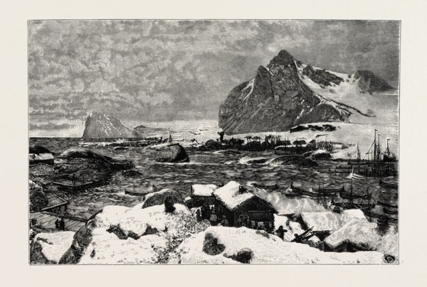 A LOFOTEN VILLAGE DURING THE FISHING SEASON. Lofoten is an archipelago and a traditional district