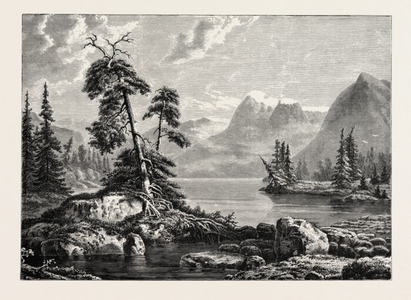 A VIEW ON THE HARDANGER FJORD. Hardangerfjord in the county of Hordaland in Norway is the third