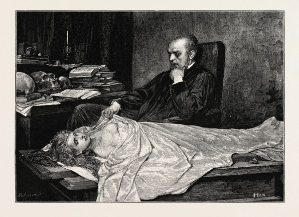 The Anatomist