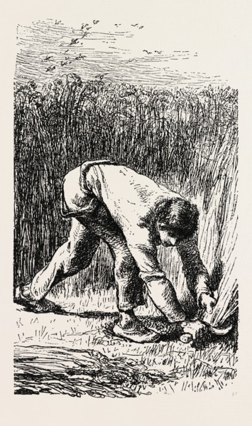 Reaping, Le Scieur de Ble