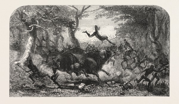 DR. LIVINGSTONE'S MISSIONARY TRAVELS AND RESEARCHERS IN SOUTH AFRICA: THE TRAVELLING PROCESSION