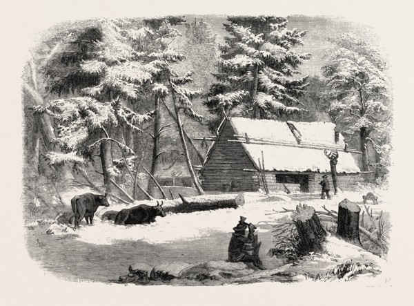 LUMBERING IN NEW BRUNSWICK, LUMBERMAN'S CAMP HOUSE, 1858
