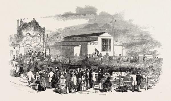 GREAT MEETING OF THE ROYAL AGRICULTURAL SOCIETY AT NEWCASTLE: THE GREAT PAVILION AND CATTLE SHOW,