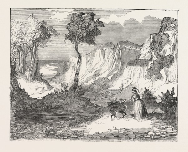 CHRISTMAS PANTOMIMES: LYCEUM. SCENE FROM THE "PRINCE OF HAPPY LAND; OR, THE FAWN IN THE FOREST." UK