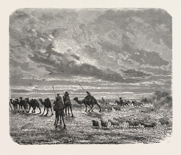 A MONGOL CAMP ON THE MOVE