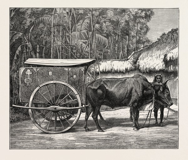 A BULLOCK CARRIAGE IN COCHIN-CHINA.