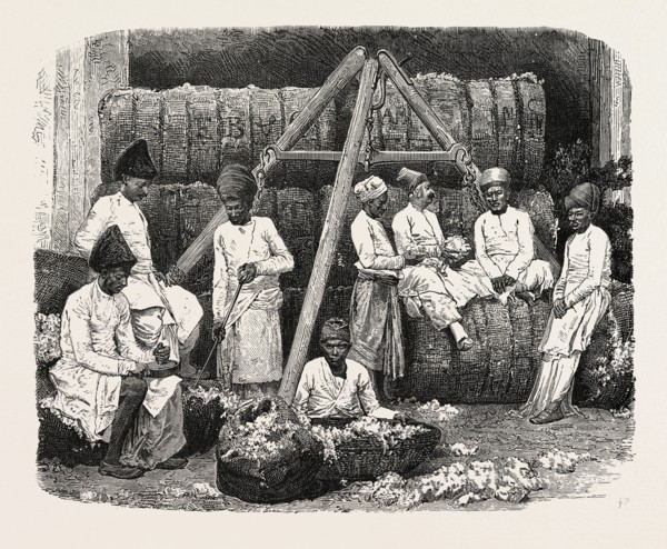 PARSEE COTTON MERCHANTS OF BOMBAY, INDIA