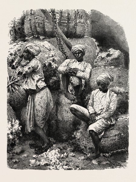 INDIAN COTTON OPERATIVES