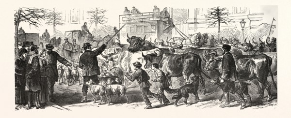 Franco-Prussian War: Flee of the country people with their herds to Paris, France