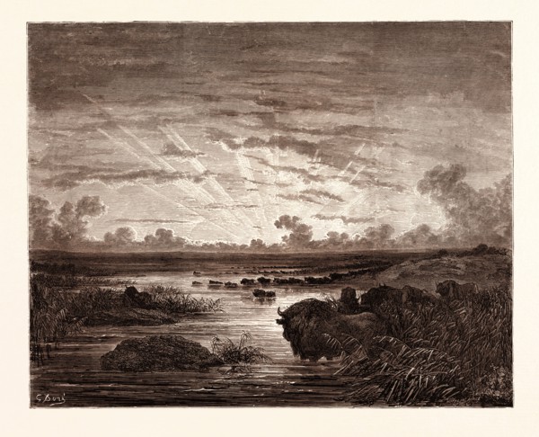 THE MISSISSIPPI SAVANNAHS, BY Gustave Doré.  Dore, 1832 - 1883, French. Engraving for Atala by