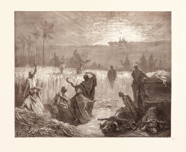 THE RETURN OF THE ARK TO BETH-SHEMESH, BY GUSTAVE DORE