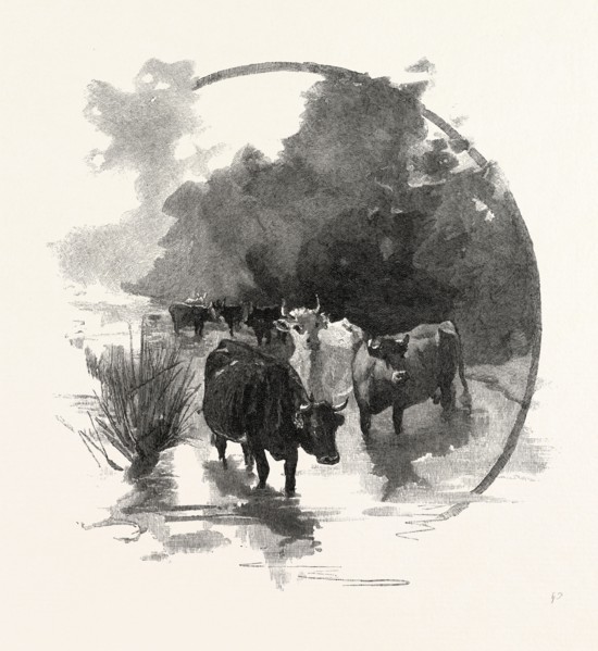 THE WATERING PLACE, CANADA, NINETEENTH CENTURY ENGRAVING