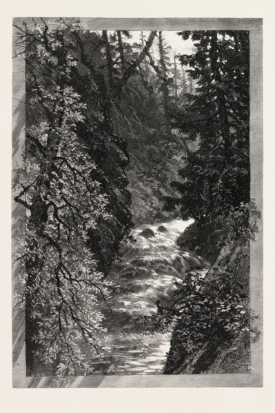 A TROUT POOL ON THE SAUGEEN, CANADA, NINETEENTH CENTURY ENGRAVING