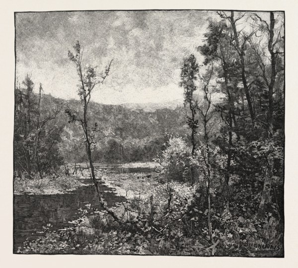 AMONG THE MOUNTAINS NEAR OWEN SOUND, CANADA, NINETEENTH CENTURY ENGRAVING