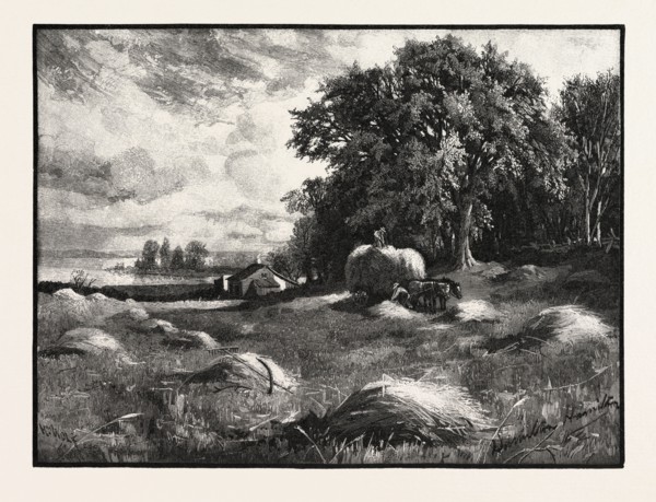 BARLEY HARVEST, CANADA, NINETEENTH CENTURY ENGRAVING