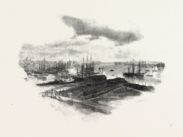 NEW BRUNSWICK, ST. JOHN, FROM PORTLAND, CANADA, NINETEENTH CENTURY ENGRAVING