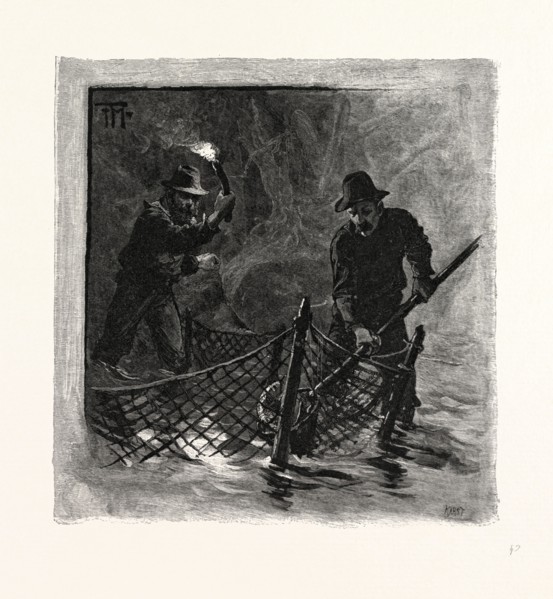 NEW BRUNSWICK, EMPTYING SALMON NETS BY TORCHLIGHT, CANADA, NINETEENTH CENTURY ENGRAVING