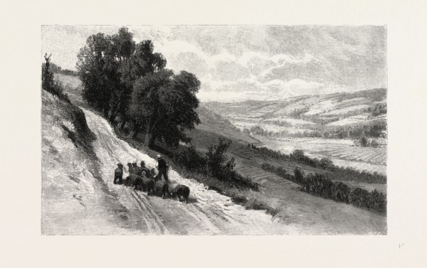 NOVA SCOTIA, VALLEY OF THE GASPEREAU, CANADA, NINETEENTH CENTURY ENGRAVING