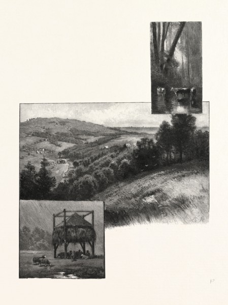 PRINCE EDWARD ISLAND, PASTORAL SCENES, CANADA, NINETEENTH CENTURY ENGRAVING