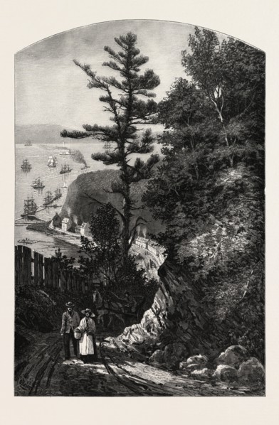 WOLFE'S COVE., CANADA, NINETEENTH CENTURY ENGRAVING