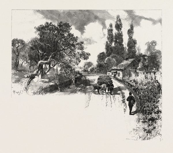 FRENCH CANADIAN LIFE, AN OLD ORCHARD, CANADA, NINETEENTH CENTURY ENGRAVING