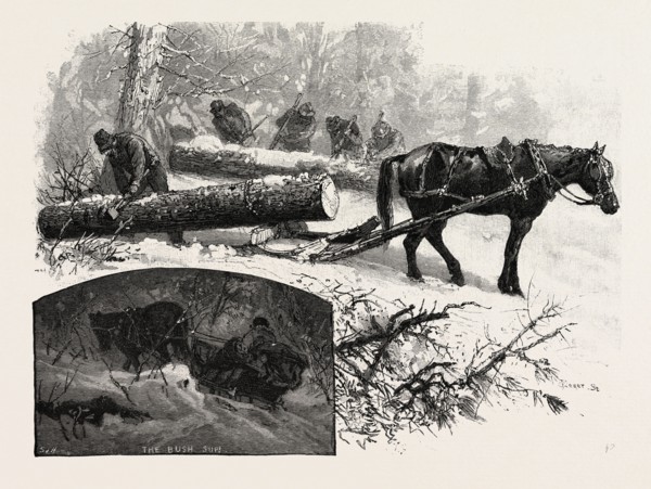 MARKING LOGS AT SKIDWAY, LUMBERING, CANADA, NINETEENTH CENTURY ENGRAVING