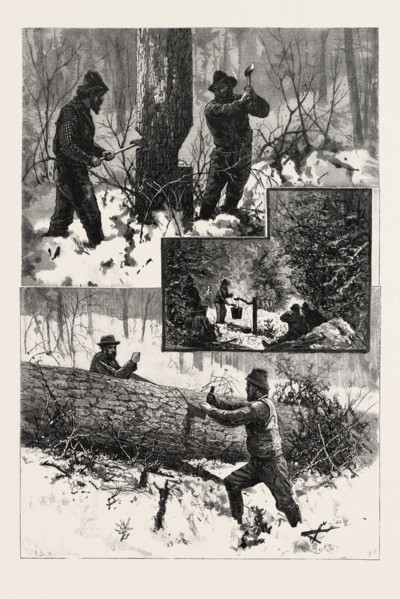 CHOPPING AND SAWING, LUMBERING, CANADA, NINETEENTH CENTURY ENGRAVING