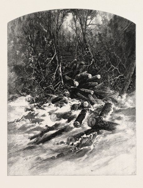 THE ROLLWAY, LUMBERING, CANADA, NINETEENTH CENTURY ENGRAVING