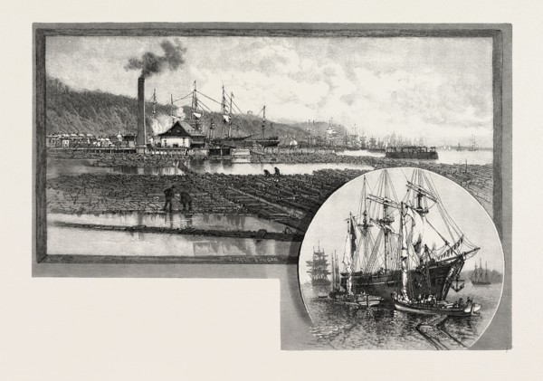 TIMBER COVES, QUEBEC, CANADA, NINETEENTH CENTURY ENGRAVING
