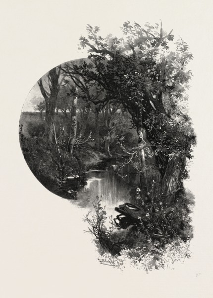 MANITOBA, A PRAIRIE STREAM, CANADA, NINETEENTH CENTURY ENGRAVING