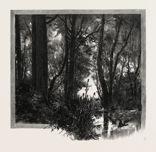 BANKS OF THE RED RIVER, CANADA, NINETEENTH CENTURY ENGRAVING