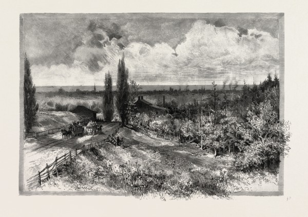 TORONTO, FROM KINGSTON ROAD, CANADA, NINETEENTH CENTURY ENGRAVING