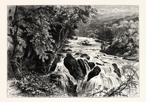 AT THE HEAD OF THE SWALLOW FALLS, UK, britain, british, europe, united kingdom, great britain,