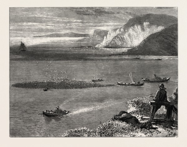 Pilchard Fishing off the Lizard, UK, britain, british, europe, united kingdom, great britain,