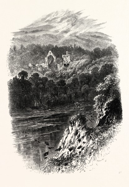 DRYBURGH ABBEY, UK, britain, british, europe, united kingdom, great britain, european