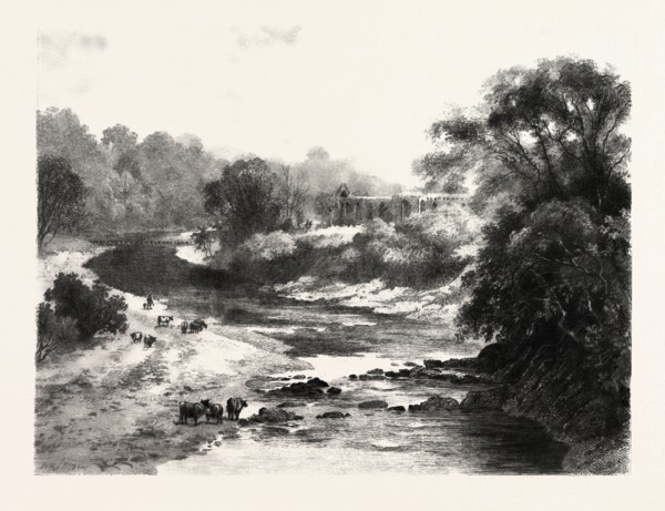 ON THE WHARFE, BOLTON ABBEY, UK. Bolton Abbey is the estate within which is located the ruined
