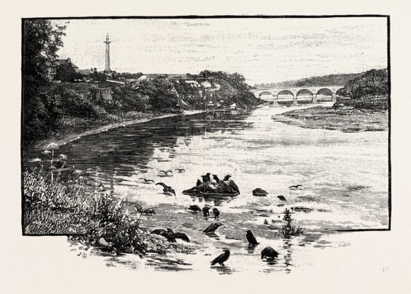 COLDSTREAM BRIDGE, FROM UP-STREAM. Coldstream Bridge, linking Coldstream, Scottish Borders with