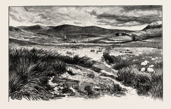 KEILDER MOORS (WITH PEEL FELL TO THE RIGHT), UK