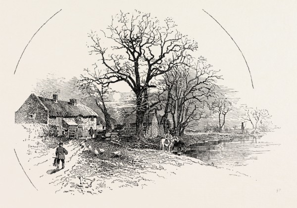 THE CROW TREES, BARROW-ON-TRENT, UK
