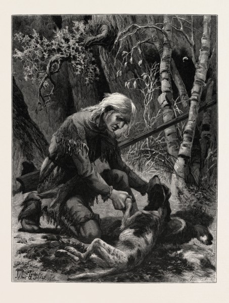 THE DYING HOUND. JOHN S. DAVIS