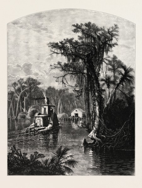 SILVER SPRING, FLORIDA. J.D. WOODWARD. Silver Springs is a U.S. populated place and spring in