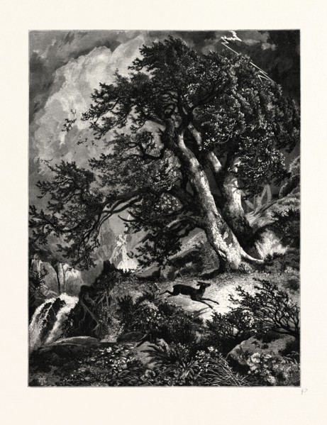 A STORM IN THE MOUNTAINS. Thomas Moran (February 12, 1837 â€ì August 25, 1926) from Bolton, England