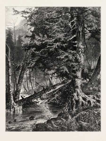 KETTLE RUN, ALTOONA. JOHN A. HOWS. USA