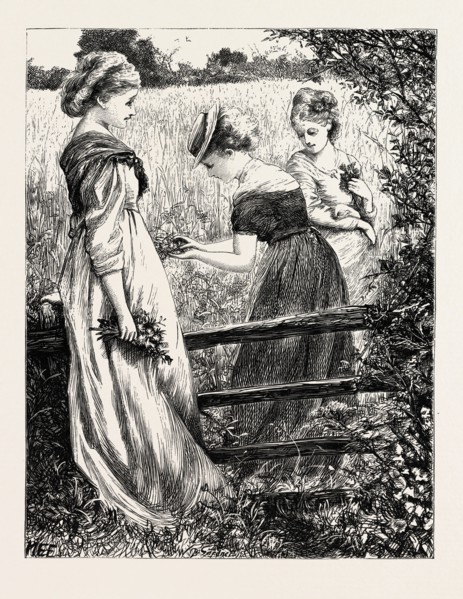 "Gems of the changing autumn, how beautiful ye are! Shining from your glossy stems like many a
