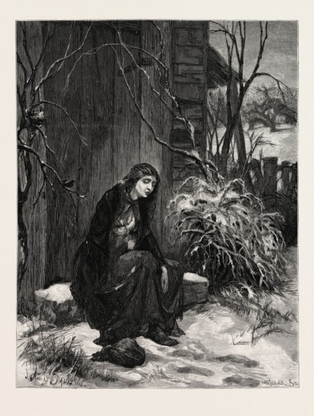 MARY OF THE WILD MOOR. JOHN S. DAVIS