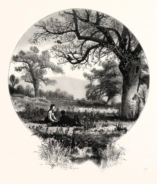 SPRING. The trees are bursting into bud and bloom; The hills lie blue beneath a sapphire sky; The