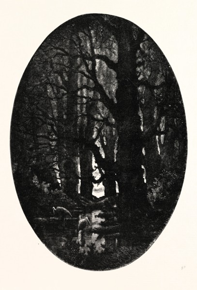 How many centuries of change and chance Those gnarled gray trunks have sentineled, calm and still,