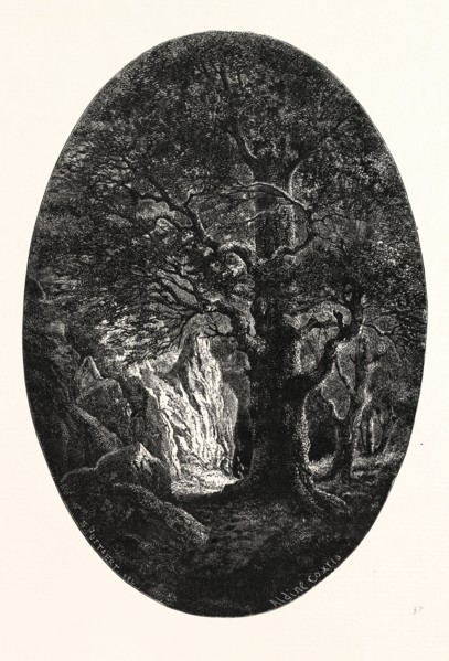 THE HERON'S ROCK. E. PUTTAERT